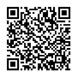 全场所有人全部都看不清楚里面到底发生了什么二维码生成