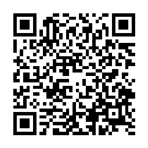全场所有受伤的神仙伤口处的魔力全都被大幅度的挤压二维码生成