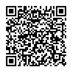 全场没有一个人站出来替我们父子说话――就是因为柳同站了出来二维码生成