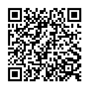 全天下就没有什么地方能够保证他全家可以活过明年二维码生成