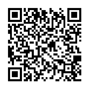 全嬷嬷的侄孙全正羽在王府的是侍卫营里呆了一年二维码生成