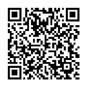 全家人送了沉鱼上轿之后便又回到了牡丹院儿的堂厅二维码生成