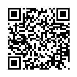 全家人都陷在了巨大的恐慌与忐忑之中二维码生成