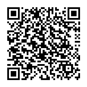 全市正局级以上离退休干部和市老干部工作领导小组成员单位主要负责人参加二维码生成