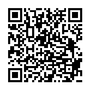 全文|字手打主蹙眉看着已经有些反常的孤梅婷一眼二维码生成