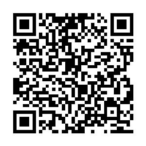 全是胜捷军和不多的神武常胜军混合组成的轻骑二维码生成