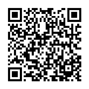 全校师生都已经知道今天会发生和可能发生什么事二维码生成