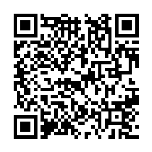 全然敞开的窗户可以清楚的看到大半条街道的情形二维码生成