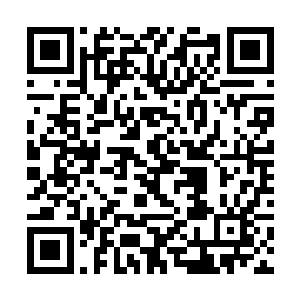 全神贯注的盯着小龙了……这是一个非常关键的时刻二维码生成