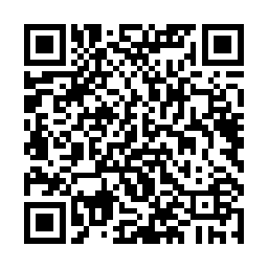全程掌控战局自信一切尽在掌握之中的自己怎么会败二维码生成