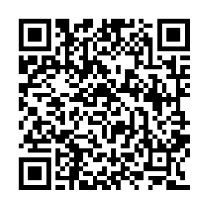 全程用温柔宠溺的目光盯着黑发黑眼的美丽少年二维码生成