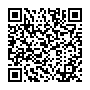 全美乃至整个世界的媒体都将聚焦的目光放在了杜克的身上二维码生成