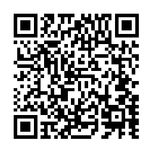 全美国人都在期待今天的zdc电视台美国偶像第一季特别节目二维码生成