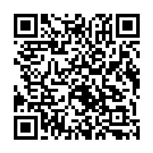 全身上下射出无数藤蔓以遮天蔽日之势向狼妖王激射而去二维码生成