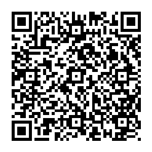 全身岔开脚被压在后院墙壁上的高级职员可能脑海里都闪过是不是要被这样爆头枪决了二维码生成