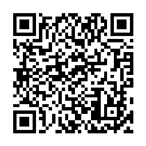 全身心的将一切放在了老者即将释放而出的能量波动之上二维码生成