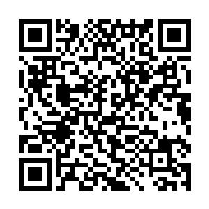 全身的气息陡然间提了起来直接和阵法对抗在了一起二维码生成