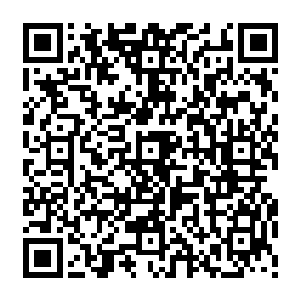 全身荡漾着可怕的狂龙真罡的李无花却是相当淡定的……他似乎也是预料到了什么二维码生成