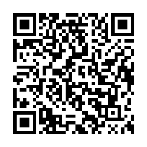 全部分散于全身各处经脉中追逐攻击血妖姬之力二维码生成