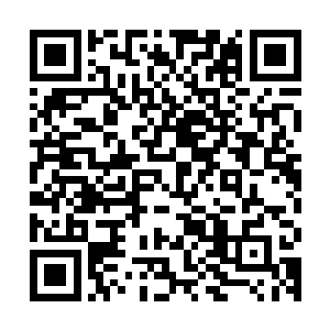 全部来自太古世界的西虎大域以及西虎大域辖下的诸多人族疆域二维码生成