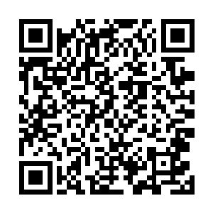 全部用于给他自己举办了一场盛大的总统任期十周年典礼二维码生成