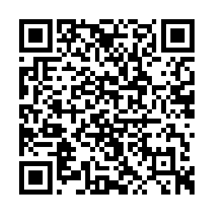 全部都以为这是洪大力的实验室研究出来的东西二维码生成