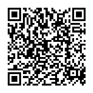 全部都是从极北之地带回来的那些异兽体内提炼出来了的生命精华二维码生成