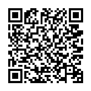 全部都被他斩杀收走了玄黄兽的尸体以及体内的能量晶体二维码生成