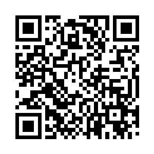 全都在齐心协力跟着梦朵儿巩固布下的结界二维码生成