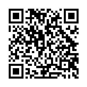 全都是后来加入罗楼麾下的百万级别赏金二维码生成