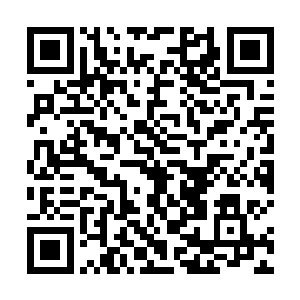 全都是清一色的黄金铠甲装扮的……就连手上的骑士剑二维码生成