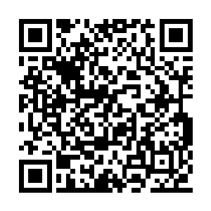 全都用一种难以置信的眼光死死的盯着这个傀儡二维码生成