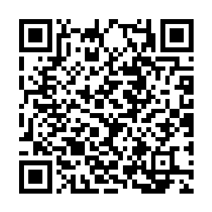 全都用欧式的白色栅栏结合优雅的铁艺给围了起来二维码生成