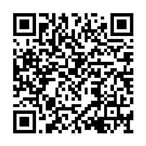 全都被要求拿出最好的工作态度为贵宾提供服务二维码生成