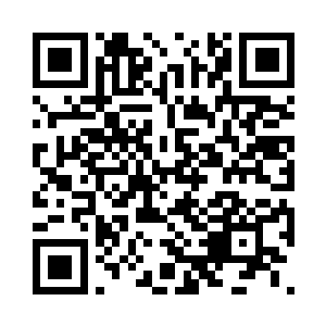 全都覆盖着一层薄薄的菌毯或者说腐殖质二维码生成