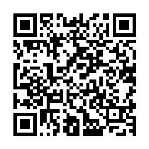 全靠拄着拐杖才能走得动路的老者抡起手中的拐杖便打了下去二维码生成