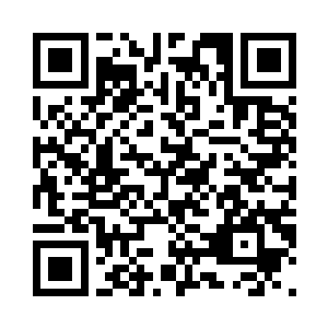 全面分析了吞噬兽释放出的能量涟漪二维码生成