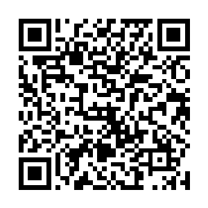 八个拳头大小的圆轮被他从手上戴着的乾坤戒指中取出二维码生成