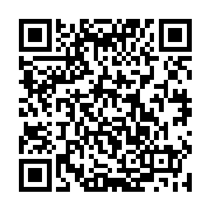 八位真仙正在和其他大势力的人继续寻找流星的下落二维码生成