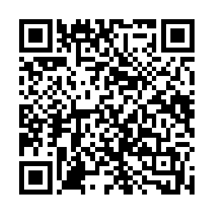 八十五只猪一样大的螳螂正趴在一堆堆金灿灿的晶币上二维码生成