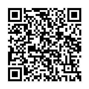 八十多只螳螂几乎只只身上都带着被打出的伤痕二维码生成