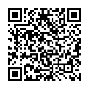 八号班房的地头蛇大猩猩竟然被赵长枪活埋在了地下二维码生成