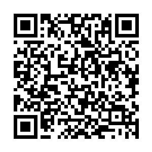 八名护卫和刚抓到的黑色级外围贵族叶华云跟在最后二维码生成