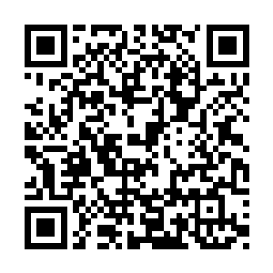 八品墨徒确实有资格插手老祖与王主之间的争斗二维码生成