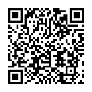 八哥在维系自己名声的同时也要记得把底子搞扎实了才好二维码生成