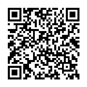 八大上古皇族的先祖便曾经先后学会了帝王之眼二维码生成