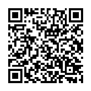 八大家族的那些六阶光明圣师虽然在和黑衣人交战二维码生成
