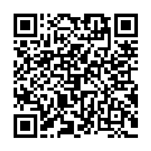 八大家族的那些拥有天空圣师实力的护卫紧紧的护住自己的主子二维码生成