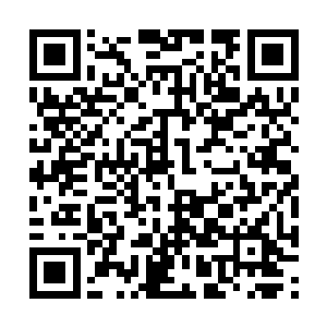 八大山人就算境界再如何深不可测也不见得能追上二维码生成