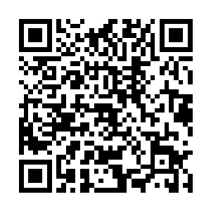 八大电影公司都各自有代表先后和里克进行了会面二维码生成